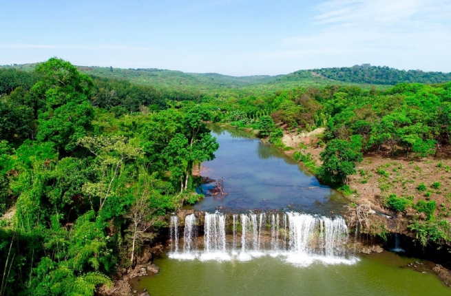 Việc nghiên cứu và bảo tồn loài trà hoa vàng Bù Gia Mập là vô cùng quan trọng để bảo vệ giá trị thiên nhiên quý giá và khả năng sử dụng loài cây này trong lĩnh vực y học và dược liệu.