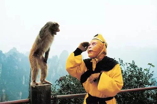 Thức địa đôi khi còn được Tôn Ngộ Không dùng cùng lúc với phép Thỉnh tiên để hỏi ý kiến Thổ Địa hoặc các vị thần tiên khác về nguồn gốc, tội ác cũng như sức mạnh của mỗi loại yêu quái gặp phải trên đường thỉnh kinh.