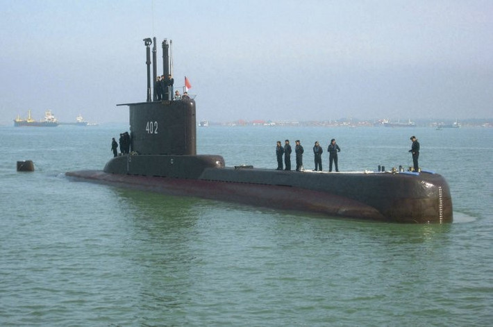 Trước khi tàu ngầm Nanggala 402 của Indonesia mất tích, lực lượng này sở hữu tổng cộng 5 tàu ngầm, trong đó nổi bật nhất là ba chiếc tàu ngầm lớp Nagapasa, do Indonesia tự đóng mới dưới sự chuyển giao công nghệ của Hản Quốc.