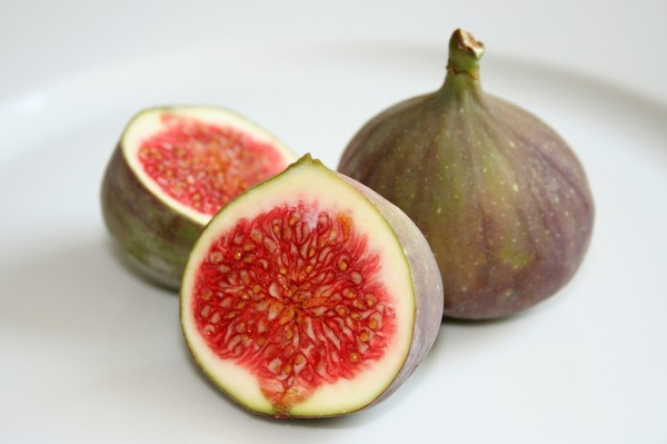 Ho khan không có đờm: Sung chín tươi 50-100g gọt bỏ vỏ, nấu với 50-100g gạo thành cháo, chia ăn vài lần trong ngày. Có thể cho thêm ít nho khô hoặc đường phèn cho dễ ăn. Hen phế quản: Sung tươi rửa sạch, giã nát, ép lấy nước cốt uống mỗi ngày 1 lần.