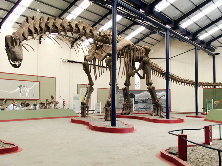Loài titanosaurians là nhóm khủng long cổ dài cuối cùng còn sót lại, loài taxa vẫn phát triển mạnh vào thời điểm xảy ra sự kiện tuyệt chủng vào cuối kỷ Phấn trắng.