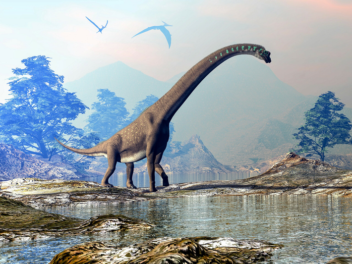 Cùng với brachiosaurids và họ hàng, titanizardian tạo nên Titanizardiformes lớn hơn. Titanizard từ lâu đã là một nhóm ít được biết đến và mối quan hệ giữa các loài titanizard vẫn chưa được hiểu rõ.