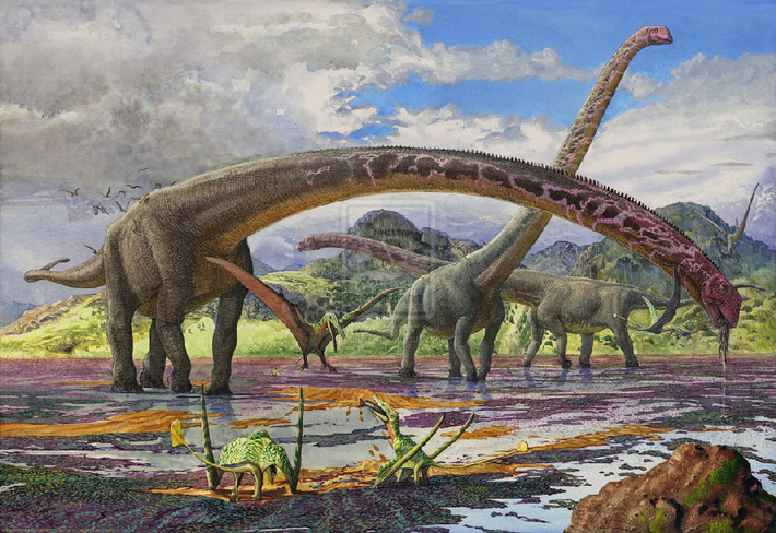 Tuy nhiên, như với tất cả khủng long khác (trừ một số loài chim), Titanosaurs tuyệt chủng trong sự kiện tuyệt chủng kỷ Creta-phân đại đệ Tam. Hóa thạch còn lại của Sauropoda đã được tìm thấy trên mọi lục địa, bao gồm cả Nam cực.