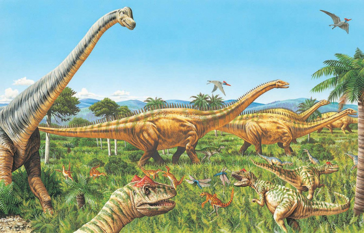 Hóa thạch đầy đủ của Sauropoda là rất hiếm. Nhiều loài, đặc biệt là các loài lớn nhất, được biết là chỉ từ các khúc xương bị cô lập và vỡ vụn. Nhiều mẫu gần hoàn chỉnh thiếu đầu, đuôi và chân.