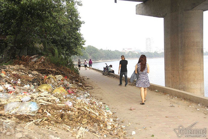 Bãi rác nằm cách những luống rau chỉ vài bước chân.