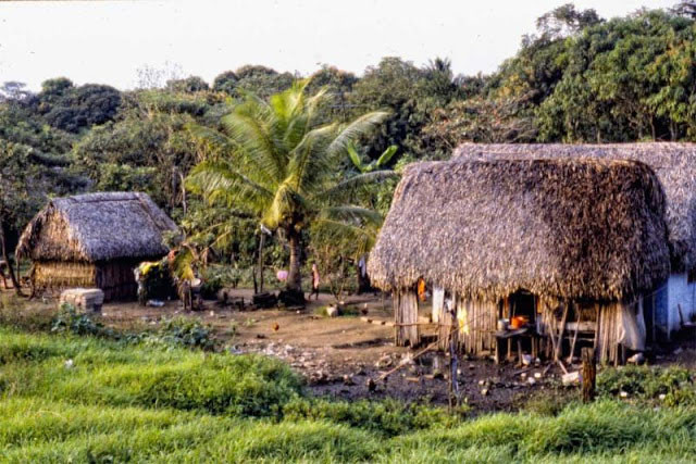 Một số nhà mái tranh nghèo ở vùng thôn quê Mexico. Ảnh VT