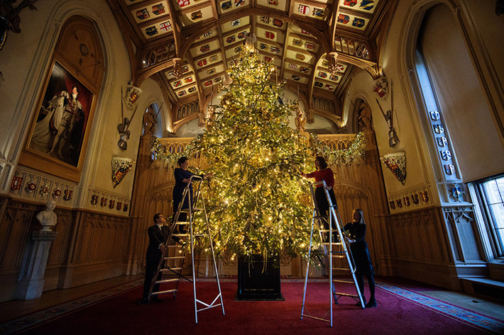Được biết mỗi cây thông Noel ở Windsor mất tới 13 giờ để trang trí và hoàn thiện và có hàng chục cây thông như vậy bên trong lâu đài này. Nguồn ảnh: Insider.
