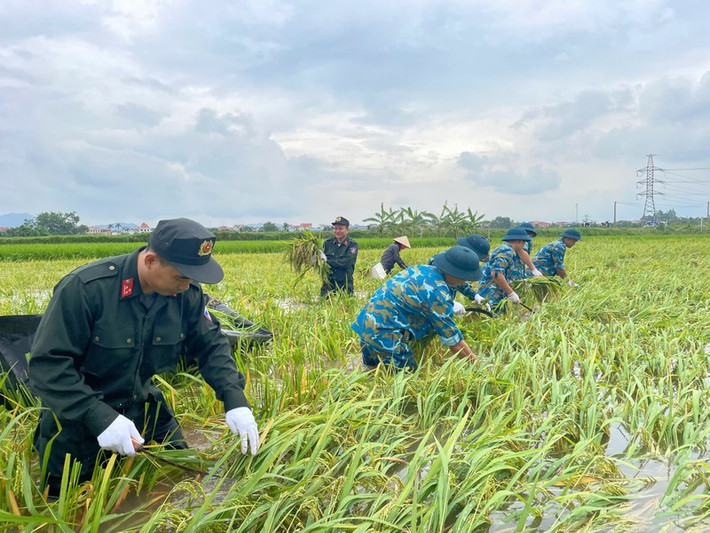 CBCS hai đơn vị với tinh thần khẩn trương, trách nhiệm, trong ngày 10-9 đã gặt được hơn 10.000 m2 diện tích lúa của cánh đồng xã Thanh Xuân
