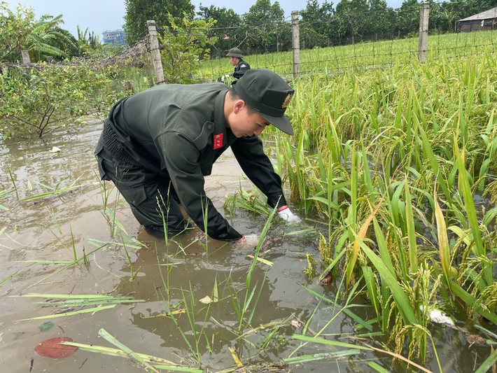 Người lính CSCĐ sẵn sàng ngâm mình trong nước để giúp dân gặt lúa chạy lũ