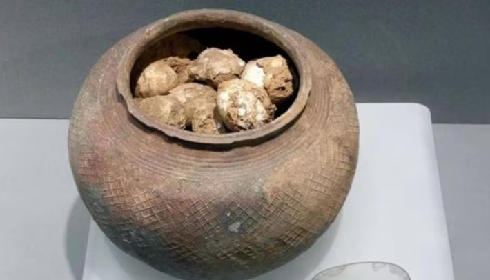 Vì vậy, để bảo vệ cổ vật và môi trường khai quật, các nhà khảo cổ phải cẩn thận lấy cả bình trứng ra và ngâm vào dung dịch đặc biệt trước khi nghiên cứu kỹ lưỡng bằng tia X trong phòng thí nghiệm.
