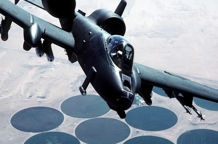 Dù đi vào phục vụ từ năm 1976, nhưng A-10 bắt đầu trở nên nổi tiếng khắp thế giới tới tận hôm nay từ cuộc chiến tranh vùng Vịnh. Tại đó, A-10 lập nên chiến công khiến cả thế giới hoảng sợ, phá hủy hơn 900 xe tăng, 2.000 xe quân sự và 1.200 khẩu pháo của Iraq. Đặc biệt, nó cũng bắn hạ hai trực thăng Iraq bằng khẩu GAU-8, trong khi chỉ để mất 4 chiếc vì tên lửa đất đối không.