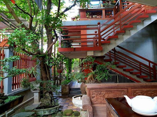 Không gian trần ngập cây xanh tạo cảm giác mát mẻ, trong lành. Đủ các loại cây cảnh đều “tụ tập” ở nơi nàyNgoài hành lang lối vào nhà không chỉ có cây cối, hoa cỏ mà còn có những chiếc lục bình cổ cao 2m. Sự phối hợp đan xen giữa phong cách cổ điển của đồ đạc, nội thất và lối kiến trúc biệt thự sân vườn hiện đại tạo nên những mảng màu sắc riêng.