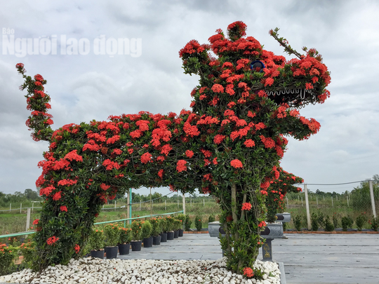 Hiện, trong vườn của bà Loan có trên dưới 200 con thú lớn nhỏ, giá bán từ vài trăm ngàn đồng đến vài trăm triệu đồng với đủ các linh vật từ bộ tứ linh (long, lân, quy, phụng) đến bộ 12 con giáp. Bà Loan cho biết: "Hiện rất nhiều người tin phong thủy và thường người ta sẽ chọn mua theo cung tam hạp để trưng trong nhà hay nơi kinh doanh".
