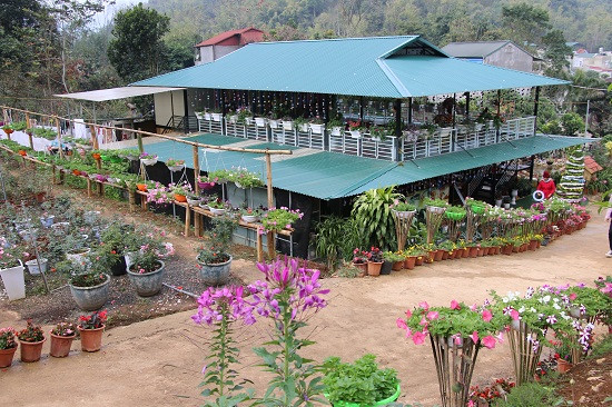 Một vườn hoa giữa thành phố Sơn La được trang trí đẹp mắt, thu hút hàng trăm du khách đến tham quan.