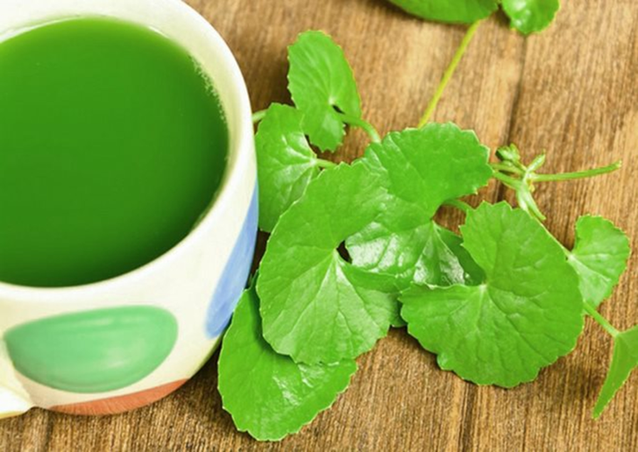 Lưu ý:Liều dùng của rau má có thể khác nhau đối với từng người, phụ thuộc vào tuổi tác và tình trạng sức khỏe. Do đó, bạn nên tham khảo ý kiến của bác sĩ trước khi sử dụng rau má để chữa bệnh hoặc với mục đích lâu dài nào đó như làm đẹp.