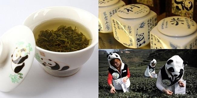 Trà phân gấu trúc nghe có vẻ kinh dị nhưng lại là thứ trà đắt đỏ có một không hai trên thế giới. Giá của nó khoảng 220.000 NDT (754 triệu đồng) cho 500g.