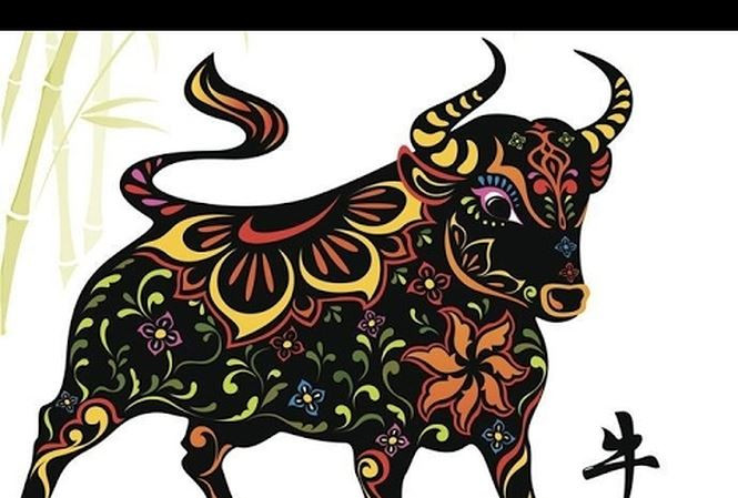 Tuổi Sửu: Giống như tuổi Thìn, bước qua năm 2018 sang năm 2019 là tuổi Sửu như thể vừa mới bước ra khỏi bóng tối. Dưới ảnh hưởng của năm Kỷ Hợi, có vẻ như tuổi Sửu sẽ gặp nhiều may mắn hơn là thách thức và vận may của họ tập trung trong 3 tháng mùa hè này.