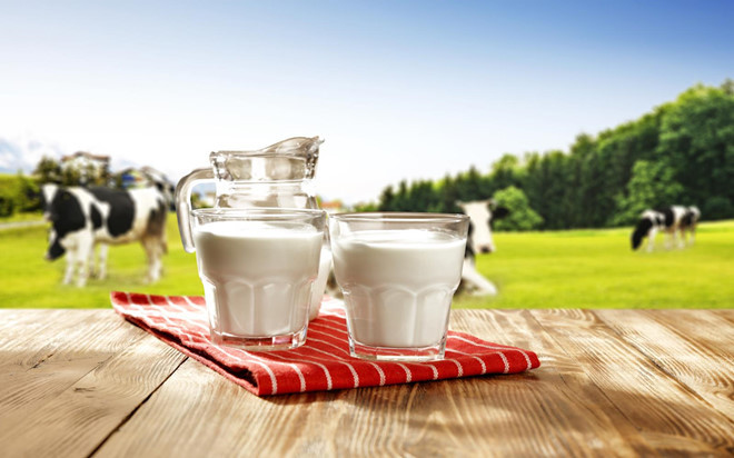 Sữa bò: Theo tạp chí Parents, sữa bò chứa rất nhiều protein và chất khoáng khiến trẻ dưới một tuổi khó tiêu. Nó có thể dẫn đến đầy bụng, rối loạn tiêu hóa và gây hại đến thận của bé. Ảnh: Onegreenplanet.