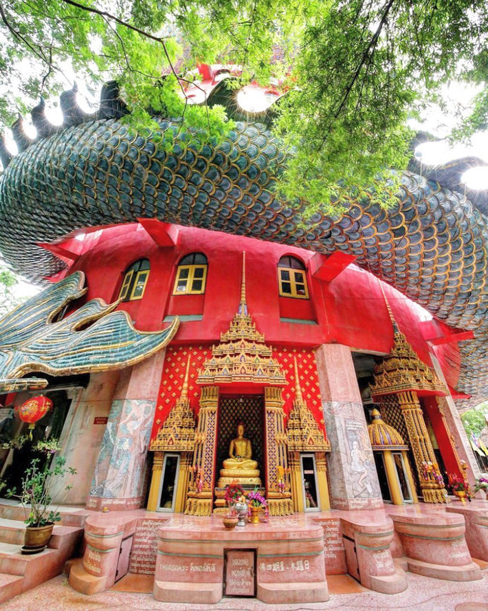 Khác xa suy nghĩ đó, Thái Lan sở hữu ngôi chùa độc đáo với kiểu kiến trúc bề ngoài mang dáng dấp một con rồng khổng lồ đang cuộn tròn xung quanh tòa tháp lớn màu hồng. Ngôi chùa có tên gọi là Wat Samphran. Trong đó, từ "wat" đề cập đến một loại đền thờ, "samphran" liên quan tới vị trí của địa danh này ở Amphoe Sam Phran, tỉnh Nakhon Pathom. Ảnh: Tommy.sawasdee, Greenmangobangkoktouren.