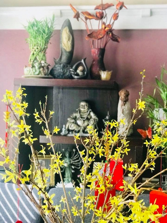 Lúc rảnh rỗi, Thúy Nga thích chăm sóc cây cối. Cô xem đây là một việc để thư giãn. Đó là lý do vì sao xung quanh nhà hay ban công nhà Thúy Nga đều có rất nhiều cây. Loại được cô trồng nhiều nhất là sen đá.
