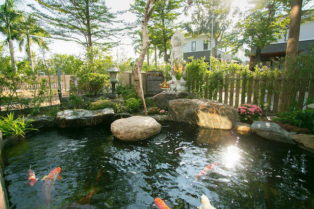 Hồ cá Koi xinh đẹp trong vườn.