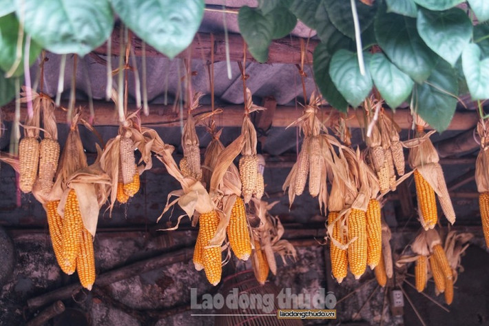 Những đồ vật gợi đến nét đặc trưng của miền quê Bắc Bộ, đây cũng là điểm đặc biệt thu hút sự quan tâm của du khách nước ngoài.