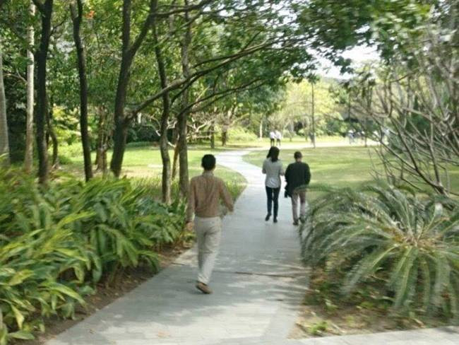 Khu vực này có rất nhiều cây xanh, mát mẻ.
