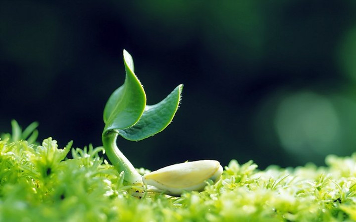 Không những vậy, những người này còn có quý nhân giúp đỡ, giàu cả về vật chất lẫn tinh thần. Từ trung niên trở đi an nhiên tận hưởng cuộc sống đến già.