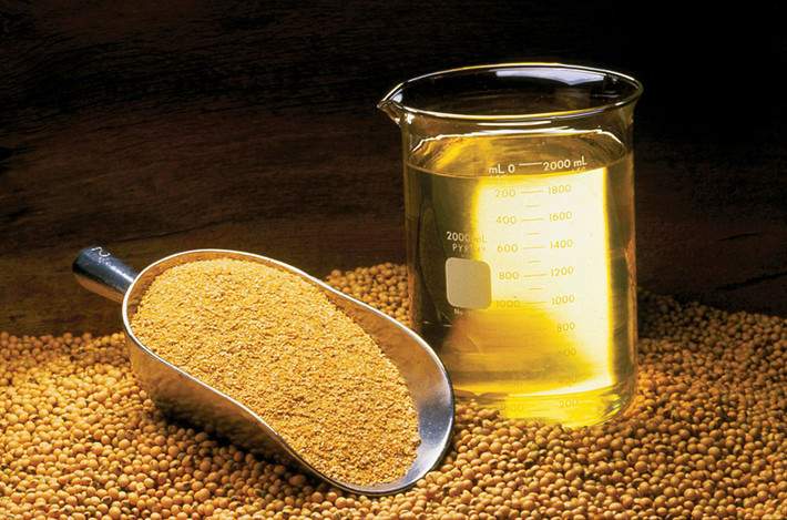 Làm chậm quá trình lão hóa - Thành phần squalene trong dầu cám gạo giúp làm săn chắc da và tăng cường sự khỏe mạnh của làn da, làm chậm quá trình hình thành nếp nhăn cũng như quá trình lão hóa da nhờ các hoạt động cấp ẩm tự nhiên.