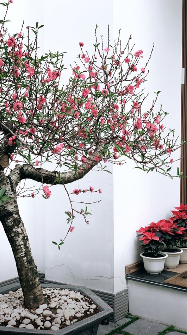 Đây cũng là nơi Tú Anh thường xuyên đưa em bé ra chơi, tận hưởng không khí trong lành.