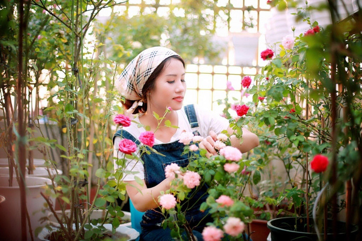 Chị Ngoan vô cùng yêu thiên nhiên, yêu thích trồng cây. Trước đây vì bận công việc, chăm sóc con nhỏ nên chị chưa có nhiều thời gian để hiện thực hóa ước mơ của mình, đó là sở hữu một ngôi nhà đầy hoa. Vì thế, 2 năm trở lại đây, khi con đã lớn hơn một chút, chị Ngoan cố gắng cân bằng công việc và gia đình để có thêm thời gian chăm sóc những gốc hồng. Khác với mọi người, chị Ngoan không mua hồng khi đã lớn và phát triển ổn định. Chị rất thích những cây hồng nhỏ. Chị cảm thấy hào hứng khi được chăm sóc và ngắm nhìn chúng lớn lên mỗi ngày, đẻ cành đẻ nhánh, ra nụ ra hoa.