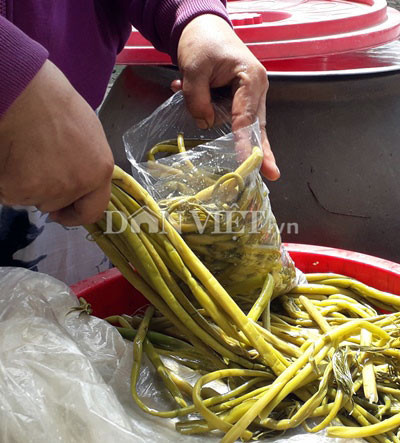 Lá và đọt non của cây rau móp được người dân thu hái để chế biến các món ăn. Đọt non của cây rau móp có thể được dùng để chế biến thành nhiều món, như: bóp gỏi, luộc, xào, nấu canh chua, nhúng lẩu... Tuy nhiên, món phổ biến nhất ở đây, có lẽ là rau móp muối chua.