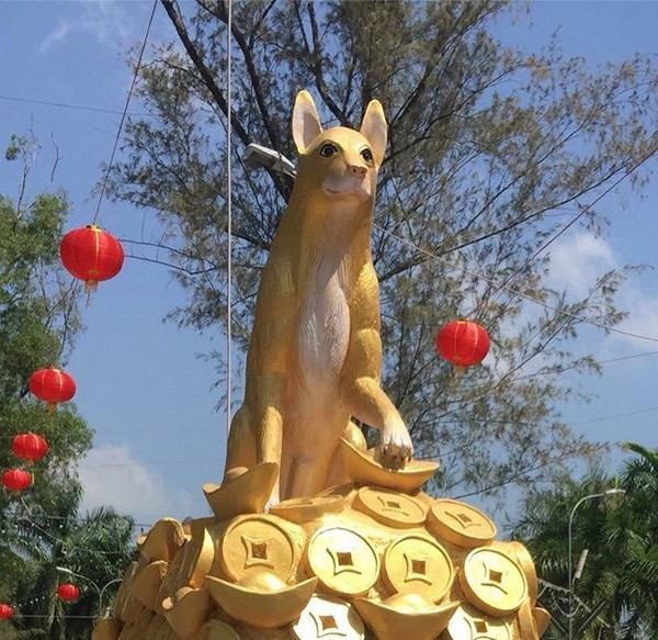 Đừng nhầm là chuột nhé, đây là chú chó vàng…
