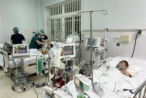 BS Lê Minh Dũng - Trưởng khoa Hồi sức tích cực - chống độc, Bệnh viện Đa khoa Khu vực miền núi phía Bắc Quảng Nam cho biết: "Cả 3 chùm ca bệnh cùng ăn một loại thức ăn là cá chép muối ủ chua. Trong quá trình chế biến loại thức ăn này, cá chép được cho vào hộp thủy tinh đóng kín sau 2 - 3 tuần mới lấy ra ăn."