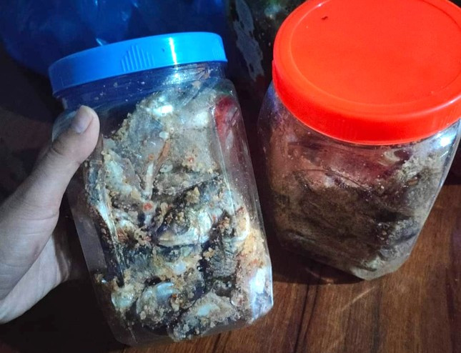 Tiếp đó, vào trưa 28/3, 2 bệnh nhân là H.T.Đ. (13 tuổi, trú xã Phước Chánh) và Y Ng. (47 tuổi, trú xã Phước Xuân) nhập viện tại Trung tâm Y tế huyện Phước Sơn, với triệu chứng nôn mửa, chóng mặt. Theo thông tin từ người nhà các bệnh nhân, sau khi ăn cá muối ủ chua thì cả hai xuất hiện tình trạng trên.