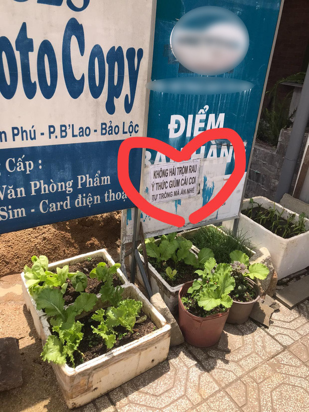 Một gia đình nọ trồng rau trong thùng xốp đặt phía trước nhà, vì nhiều lần bị người lạ dòm ngó nên gia chủ đành in một tờ giấy nhắn nhằm “dằn mặt” những ai đang có ý định trộm rau với nội dung: “Không hái trộm rau. Ý thức giùm cái coi. Tự trồng mà ăn nhé”.