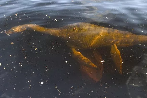 Quái vật hồ Loch Ness, dù là huyền thoại hay thực tế, vẫn là một phần không thể thiếu của văn hóa dân gian Scotland. Những câu chuyện về Nessie không chỉ làm phong phú thêm trí tưởng tượng của con người mà còn thúc đẩy sự tò mò và khám phá về thế giới xung quanh chúng ta. (Ảnh: Edinburgh Live)