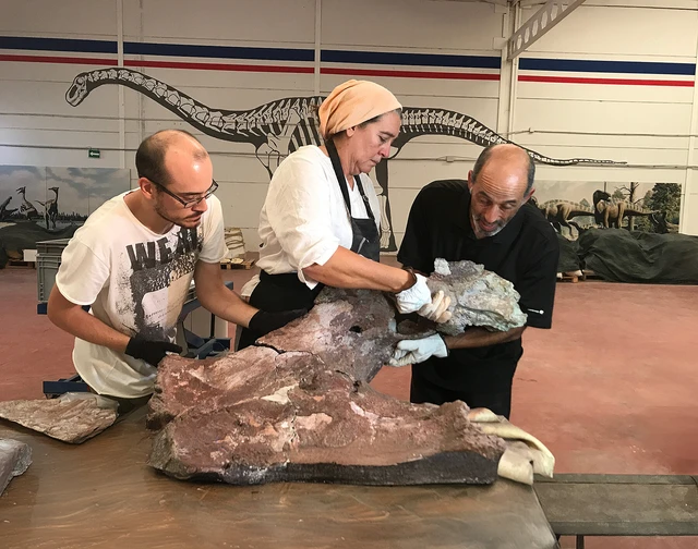 Theo PHYS, " quái thú" này là một loài khủng long khổng lồ thuộc họ Titanosaurus (thằn lằn hộ pháp), nhóm khủng long lớn nhất từng tồn tại. Bộ xương hóa thạch này bao gồm các đốt sống, xương chậu và chi, cho thấy con vật có thể cao gấp 4 lần con người và nặng hàng chục tấn, có khả năng vượt xa trọng lượng của voi châu Phi (khoảng 5-7 tấn). (Ảnh: Communications Biology).