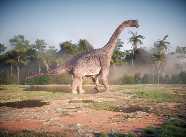 Titanosaurus không chỉ là một biểu tượng của sự khổng lồ và sức mạnh mà còn là một phần quan trọng trong việc hiểu biết về lịch sử tiến hóa của khủng long. Những phát hiện mới về Titanosaurus tiếp tục mở ra những cánh cửa mới trong nghiên cứu cổ sinh vật học, giúp chúng ta hiểu rõ hơn về thế giới tự nhiên hàng triệu năm trước. (Ảnh: iStock)