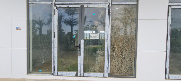 Cây mọc rồi chết khô bên trong các căn shophouse quanh năm đóng cửa khiến không ít người ngỡ ngàng.