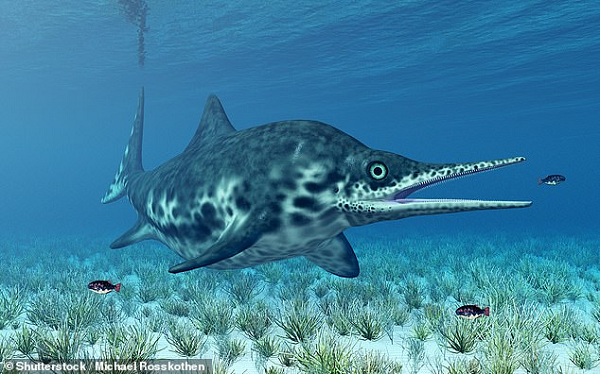 Ichthyosaur xuất hiện lần đầu tiên sau sự kiện tuyệt chủng kỷ Permi khoảng 250 triệu năm trước, khi khoảng 95% các loài sinh vật biển bị chết.