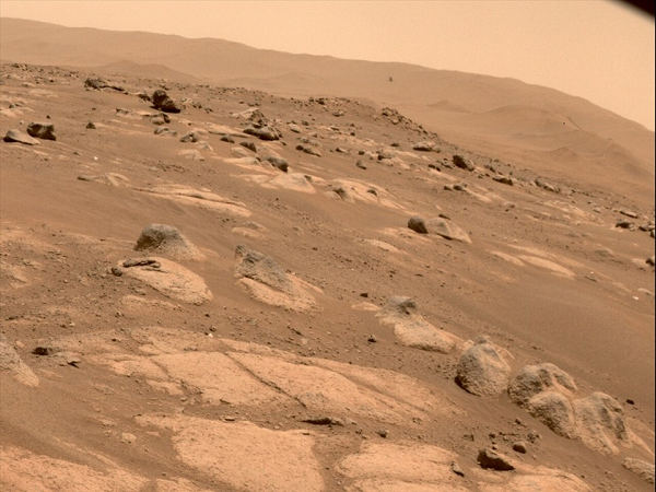 Tàu InSight của NASA đã tìm thấy những cơn địa chấn bí ẩn liên tiếp xảy ra. Là một hệ thống khe nứt được tạo ra bởi các đứt gãy ở khu vực Cerberus Fossae, kéo theo đó là 47 đầm lầy dường như mới xuất hiện.