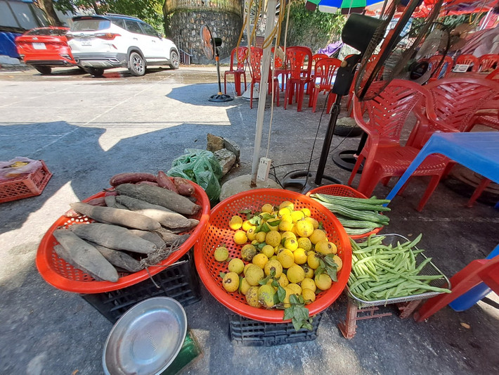 Người dân ở đây thường hái thị mang đi bán để có thêm thu nhập...