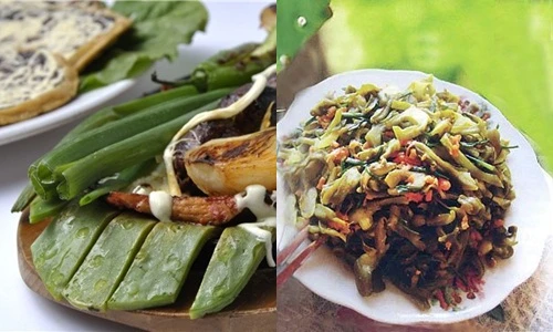 Bất ngờ trước những món ngon từ cây xương rồng