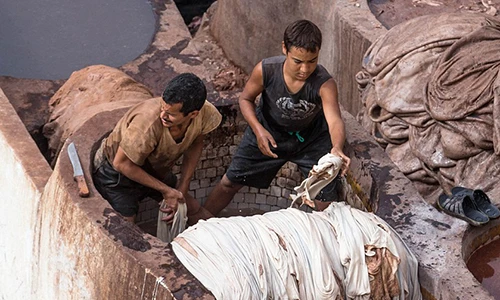 Cảnh lao động kinh hoàng để nhuộm da làm túi xách hàng hiệu