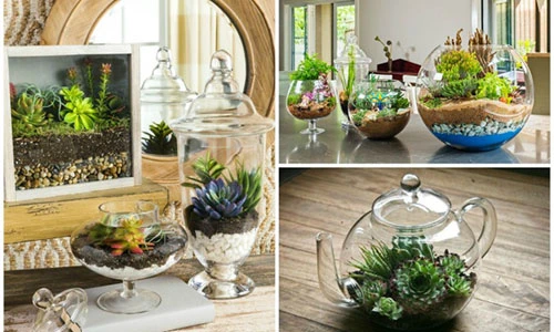 Cách tạo khu vườn hồ cạn tuyệt đẹp để trang trí nhà