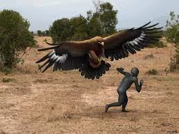 Top động vật khổng lồ khát máu, chuyên săn lùng tổ tiên chúng ta