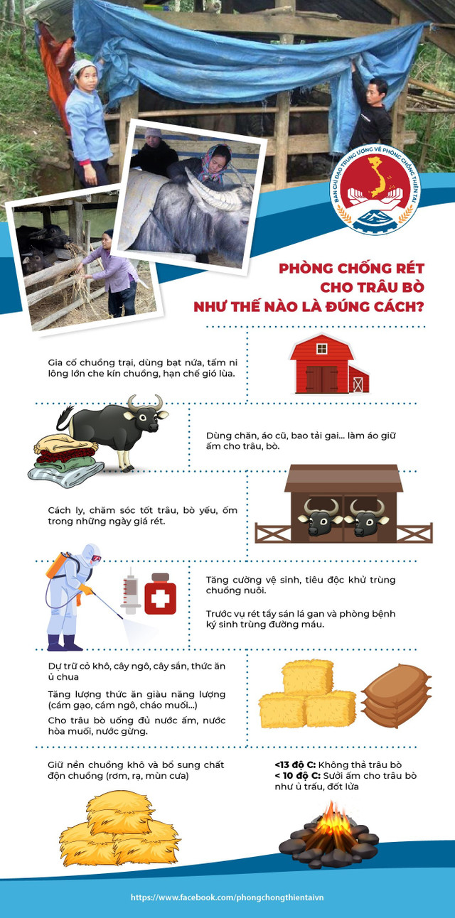 Đợt rét đậm đầu tiên của mùa đông năm nay diễn ra thế nào - Hình 2 Dot ret dam dau tien cua mua dong nam nay dien ra the nao-Hinh-2