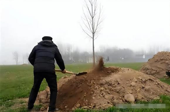 4 quy tắc khi tảo mộ Tết Thanh minh để được may mắn - Hình 3 4 quy tac khi tao mo Tet Thanh minh de duoc may man-Hinh-3