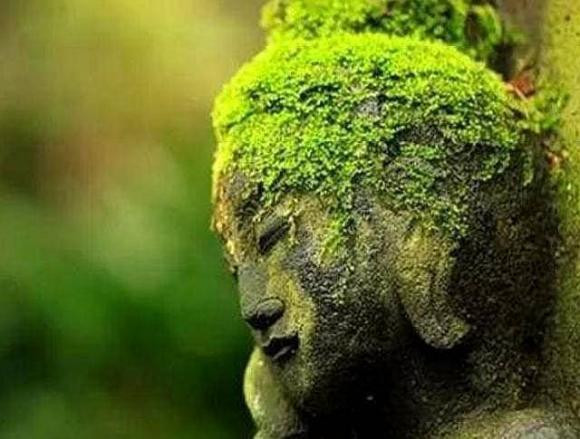 Bốn dấu hiệu chính của một người "sắp xảy ra tai hoạ" - Hình 5 Bon dau hieu chinh cua mot nguoi